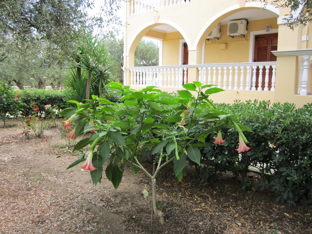 Dimaras Apartments Vasilikos  Bilik gambar