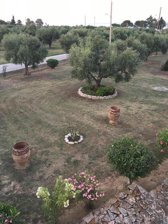 Dimaras Apartments Vasilikos  Luaran gambar