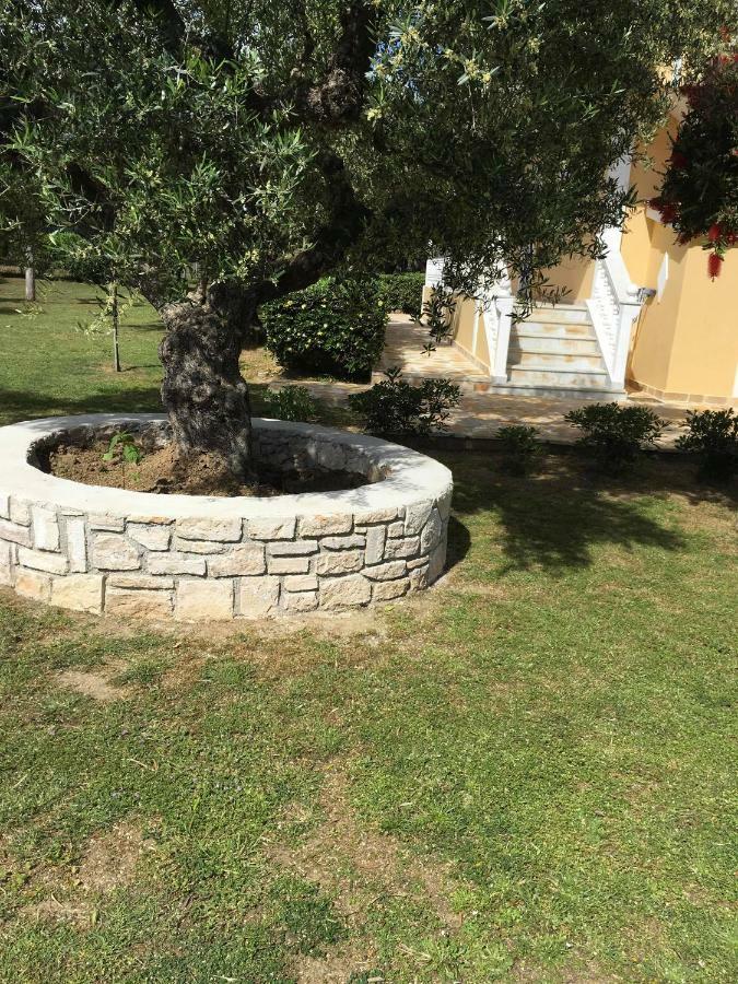 Dimaras Apartments Vasilikos  Luaran gambar